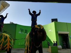 -大连森林动物园