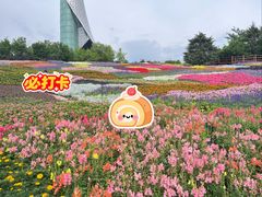 -沈阳植物园