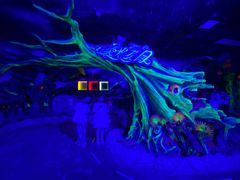-海合安武汉极地海洋公园