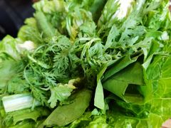 生菜-泽成冰煮羊火锅(中正天街店)