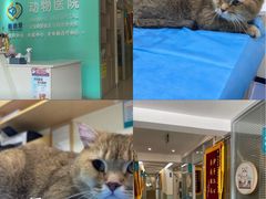 -美迦爱-牙专科·兔科·骨科诊疗中心(北苑店)