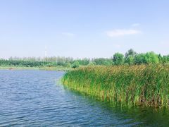 -溱湖国家湿地公园