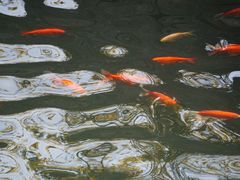 -昆嵛山石门里景区