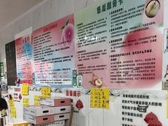 -老袁家蜜桃农场·阳山水蜜桃