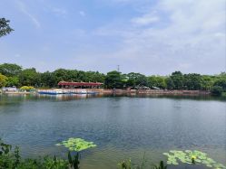 -广州市儿童公园