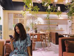 -柴务处·柴犬主题狗咖