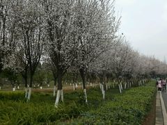 -白鹭湾湿地公园