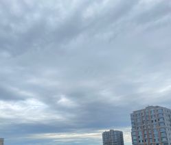 点击看大图 -张小野·专业半永久纹眉