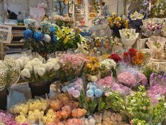 -循礼门鲜花花市(武汉循礼门店)