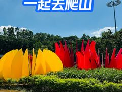 -阳台山森林公园