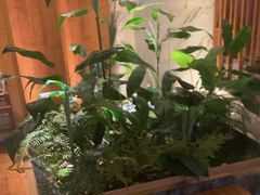 -浅深(北京北四环精品店)