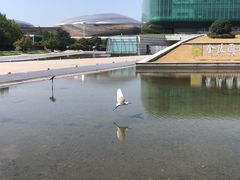 -金陵图书馆