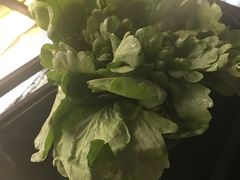 -王家渡火锅(金宝汇店)