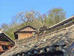 -青岩古镇