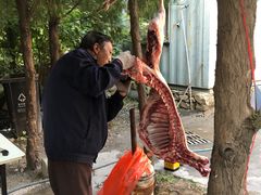 -仙蘑洞