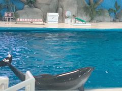 -泉城欧乐堡海洋极地世界