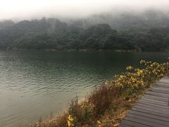 -广州市石门国家森林公园