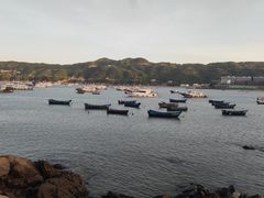 -渔寮风景区