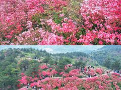 -木兰云雾山