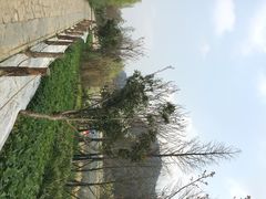 花溪十里河滩湿地公园-贵阳市花溪国家城市湿地公园