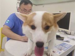 -佳雯宠物医院·皮肤科·内外科(春晓路分院)