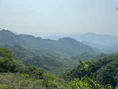 -大岭沟猕猴桃谷风景区