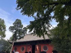 -洛阳白马寺