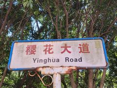 -武汉大学-樱园