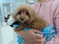 -纳吉亚猫专科动物诊疗中心(蒋宅口分院)