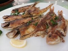 铁板烧什鱼-南海食街(佛冈店)