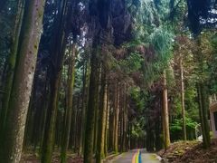 -摩围山景区