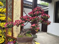 -杭州植物园