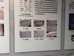 -北京周口店北京人遗址博物馆
