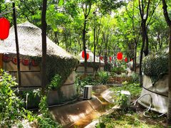 -草根堂农场