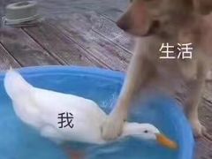 -灶东家民间菜(回兴店)
