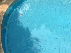 -菲鱼体育恒温游泳馆(中海名城店)