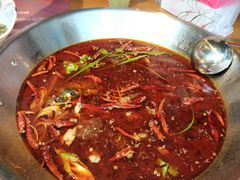 美蛙鱼头锅-红牌美蛙鱼头火锅(万辉国际广场店)