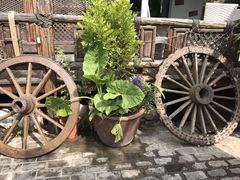 -慢丽江·云南野生菌土鸡锅(付家庄店)