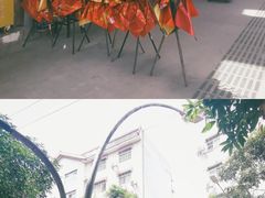 -白马步行街