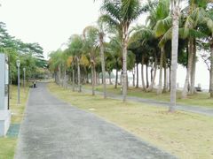 -宝安西湾红树林湿地公园