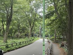 -井之头恩赐公园