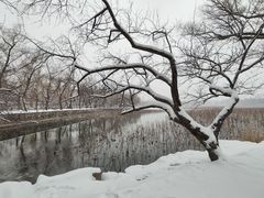 -颐和园
