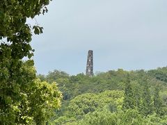 -上海佘山国家森林公园天马山园