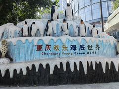 -重庆欢乐海底世界