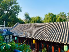 -Sirena海妖日咖夜酒