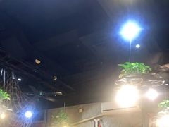 大堂-小俩口烧烤东北菜(双井店)