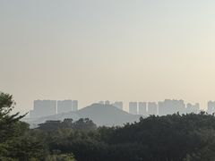 -广州莲花山旅游区