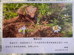 -红山森林动物园
