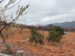 -南武当山景区