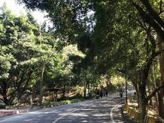 -大雁山风景区